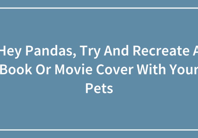 Hey Pandas, Try And Recreate A Book Or Movie Cover With Your Pets