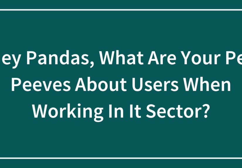 Hey Pandas, What Are Your Pet Peeves About Users When Working In It Sector?