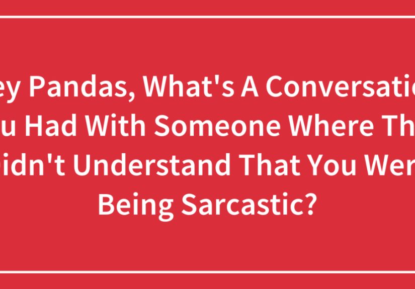 Hey Pandas, What’s A Conversation You Had With Someone Where They Didn’t Understand That You Were Being Sarcastic?