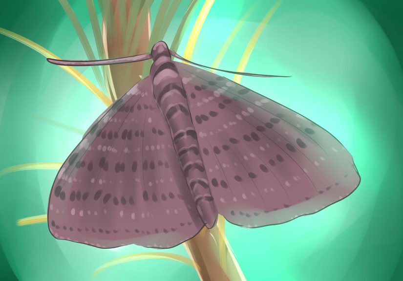 How to Get Rid of Bagworms: 14 Steps