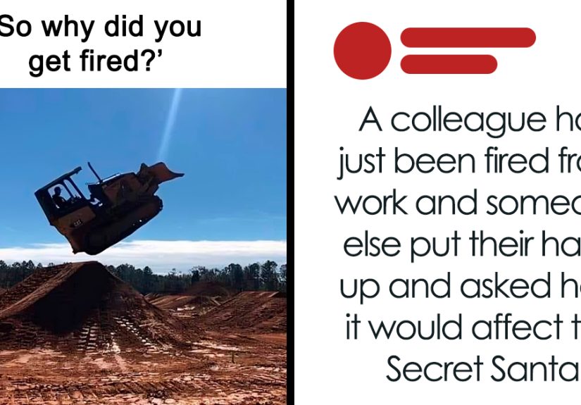 If You Just Got Fired, These 50 Memes May Help You Pick Up The Pieces And Release Bitter Feelings