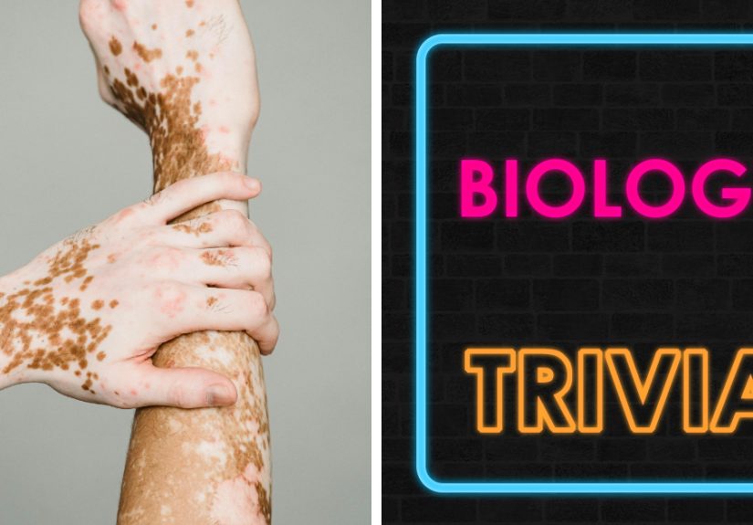 &ldquo;Mitochondria Are The ___ Of The Cell&rdquo; 89% Get Stumped On This School Biology Quiz