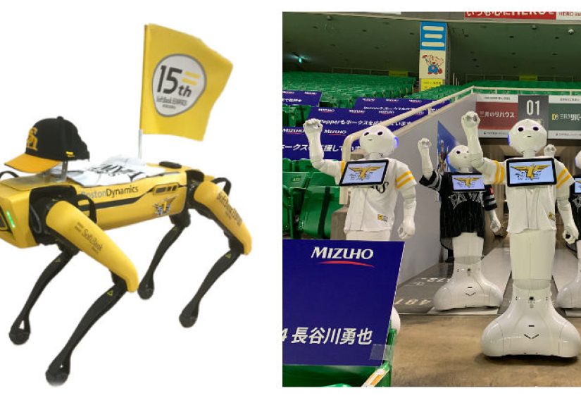 SoftBank Robots Pinch Hit For Baseball Cheerleaders