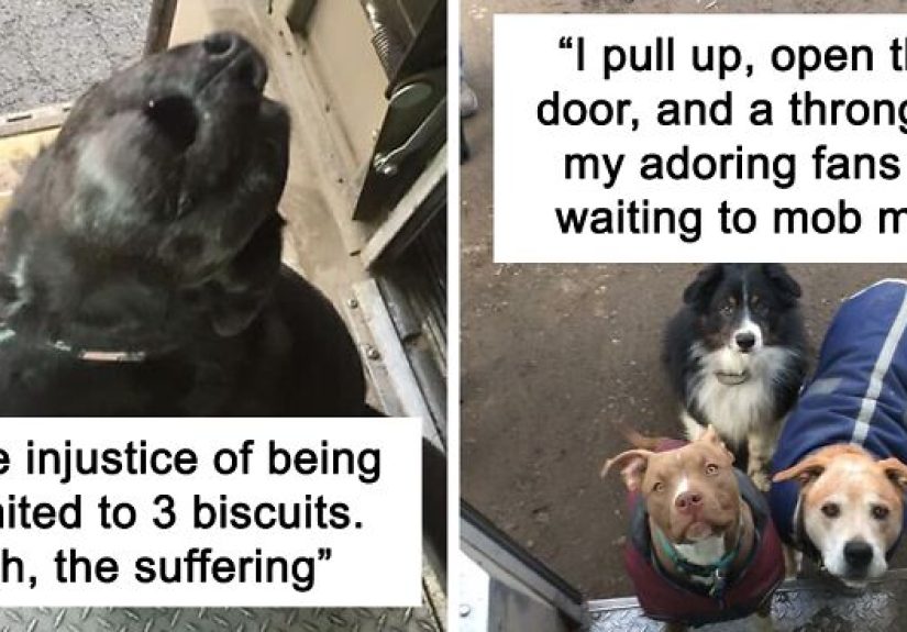 UPS Driver Captures The Cutest ‘Clients’ He Meets On Routes, And People Can’t Get Enough (30 Pics)