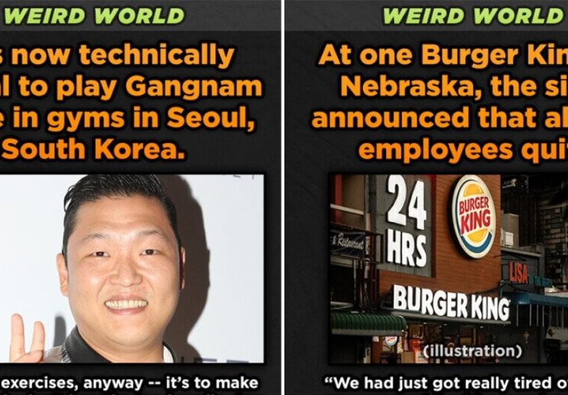 Weird World: 12 Inexplicably Ridiculous Things That Somehow Happened
